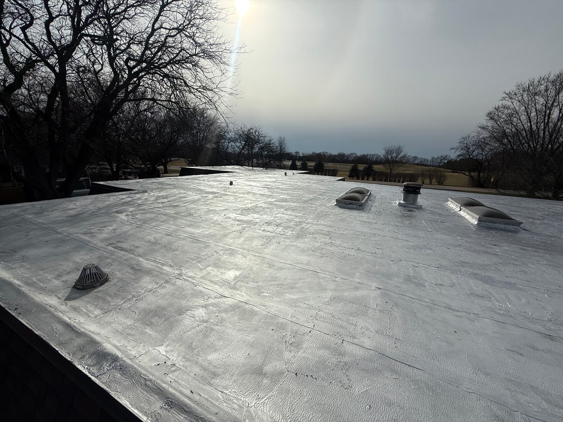 Residential Flat Roof Update Seals and Skylight Protection image