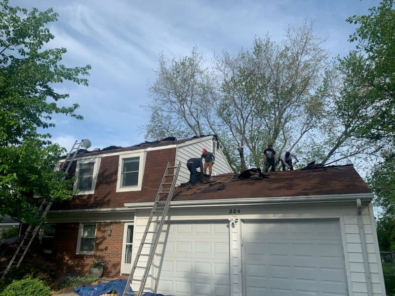 Shingle Roof Replacement in Schaumburg